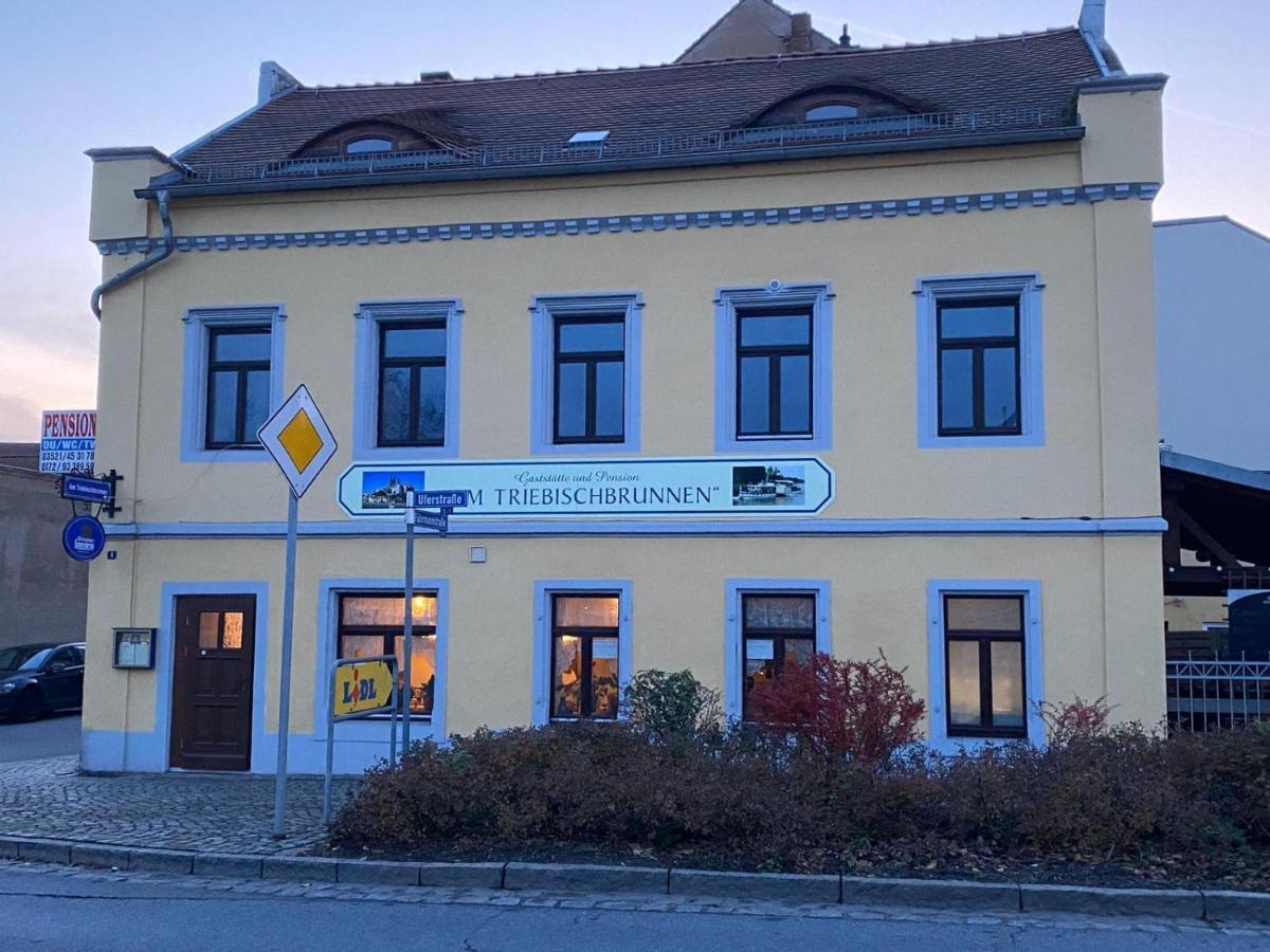 Fewo Am Triebischbrunnen Meißen Dış mekan fotoğraf